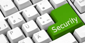 企业信息安全投资指南 合理预算与有效防护