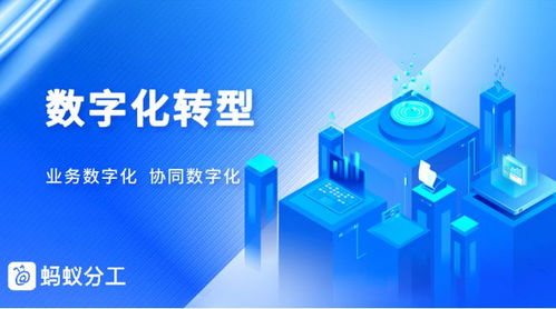 借力蚂蚁分工 泛能网业务扩张后的数字化管理与网络安全信息咨询之路
